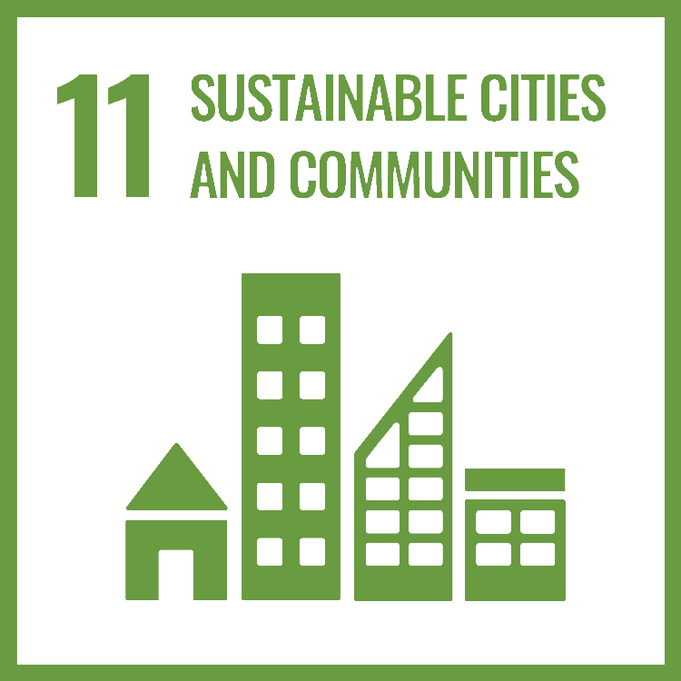 sdg 11