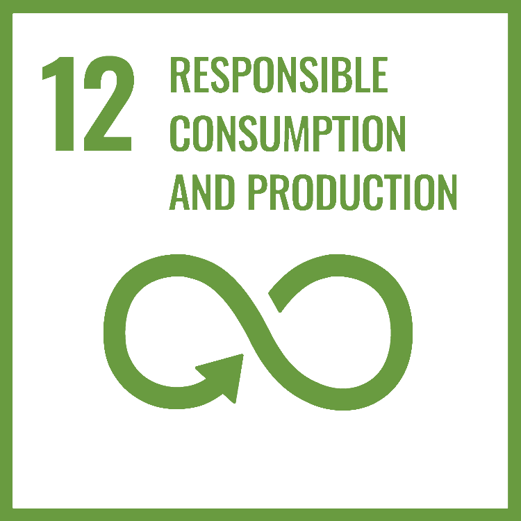sdg 12