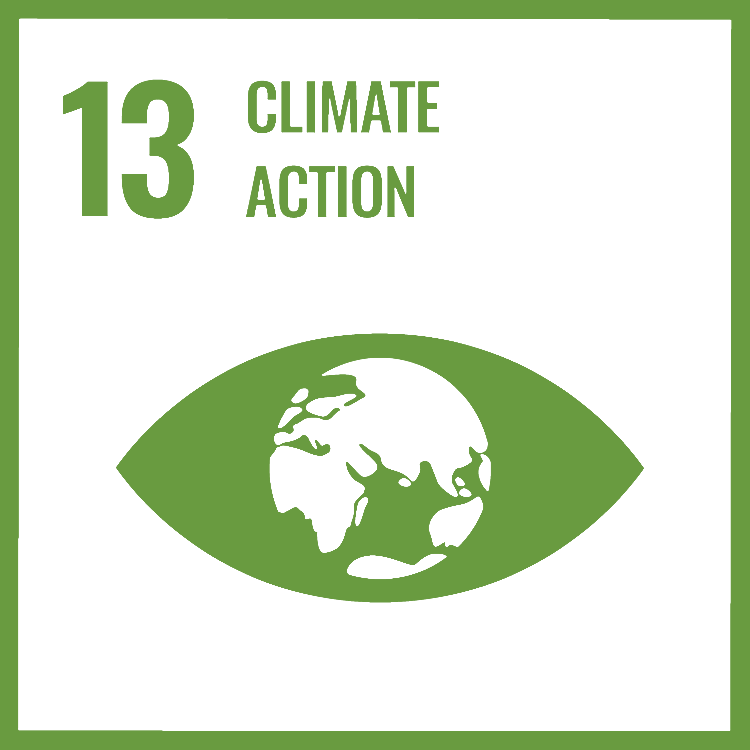 sdg 13