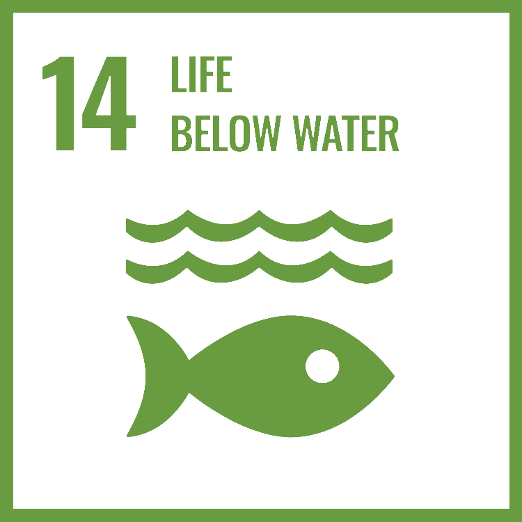 sdg 14