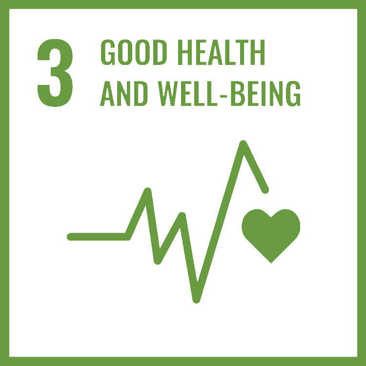sdg 3